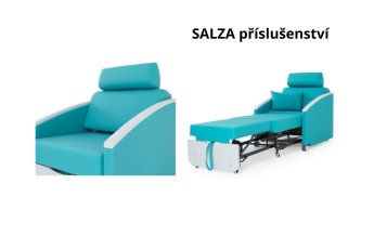 Křeslo Salza
